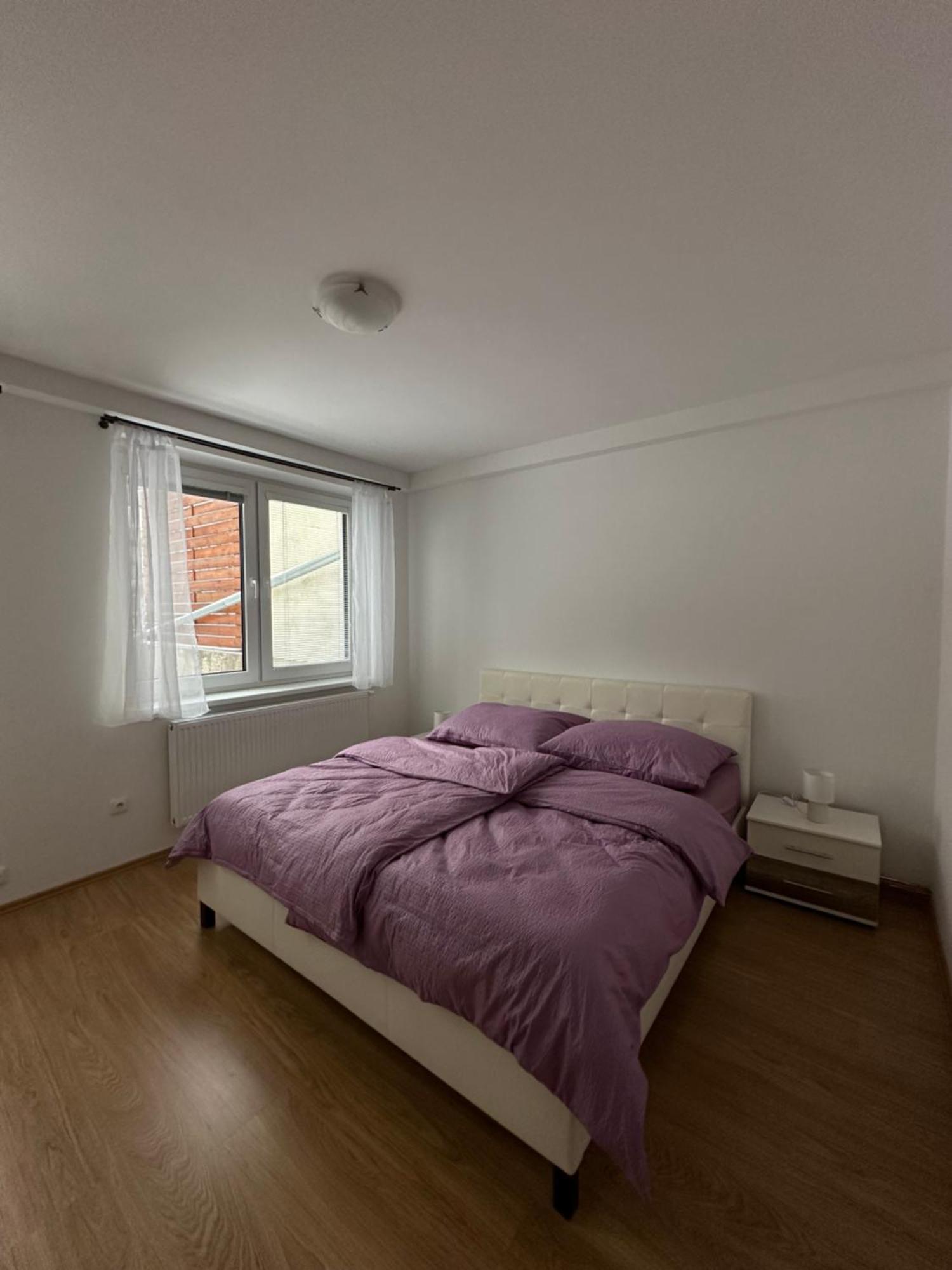 Apartment Tereza