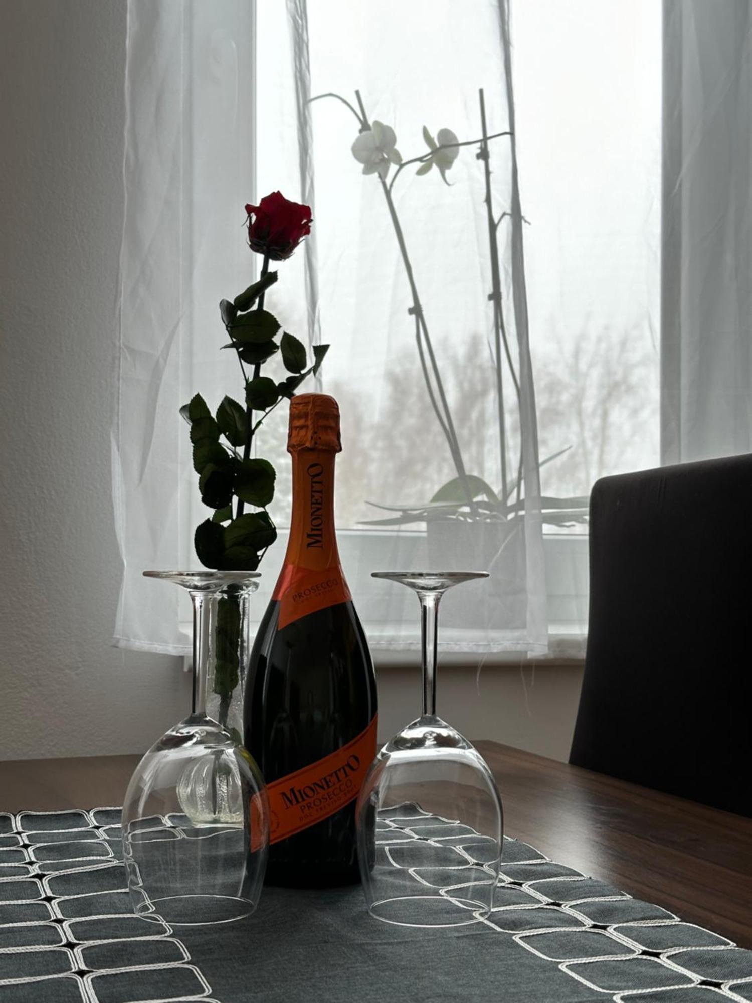 Apartment Tereza